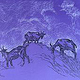 Weissenberge_6