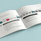 fev-consulting-broschuere-antriebsportfolio-infografik-spread-mockup