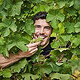 Weingut Schier