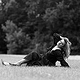Portraitfotografie