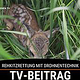 TV-Beitrag