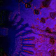 Experimentelle Motion Graphics