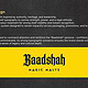Baadshah 4