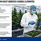 Didaktische Visualisierung von Bekleidungs- und Hygieneregeln für Anbau und Ernte im GACP-Bereich.