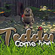Game Release: Teddy come home