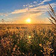 Landschaftsfotografie