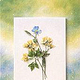 Aquarell