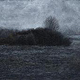 Hecke im Nebel, Landschaft