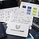 Paradox Cat – Branding, Corporate Design & Markenentwicklung