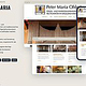 Portfolio Francisco Vivo