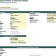Hunde-Gesundheitstracker – Excel Dashboard & Datenmanagement
