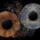 irisfoto Beispiel
