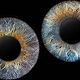 Iris Foto Beispiel