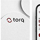 torq – Brand Identity for a SaaS Platform