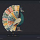 Finishing-Editor – Vergleichsschieber, Print-Looks und Effekte; ungespeicherte Live-Vorschau