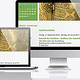 Webdesign für Kunstunternehmer