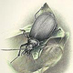 zeich 08