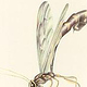 zeich 06