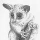 zeich 12