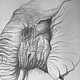 CIMG3189